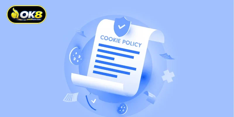 A Complete Overview of the Cookie Policy and Its Functions