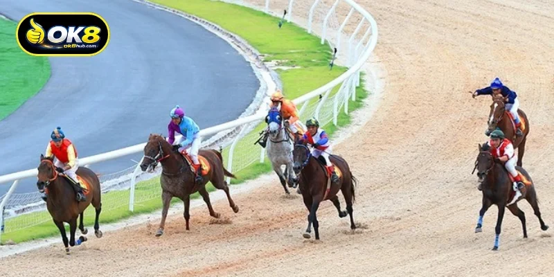 Horse racing betting is becoming increasingly popular in Brazil