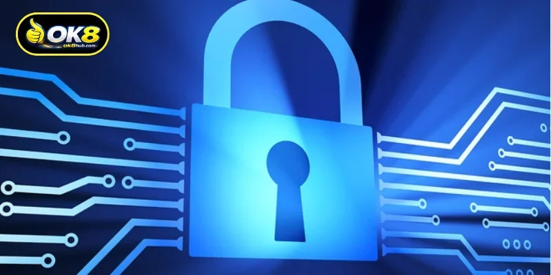In-Depth Privacy Standards and Regulations
