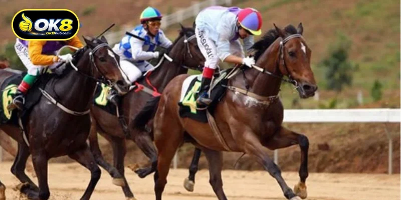 Modern horse betting racing mechanisms