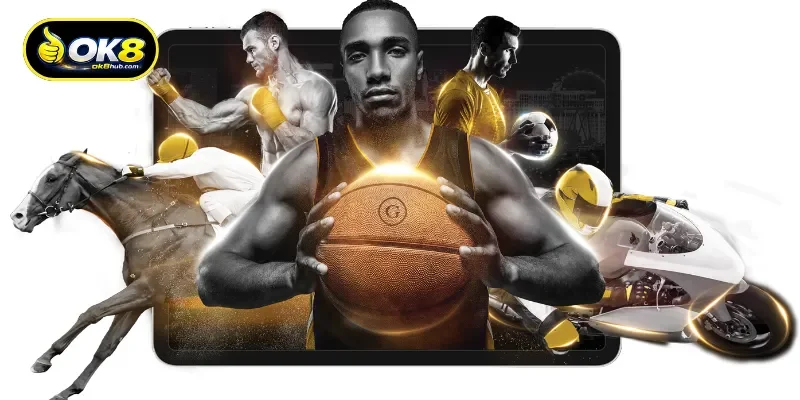 Overview of the OK8 Sports Platform