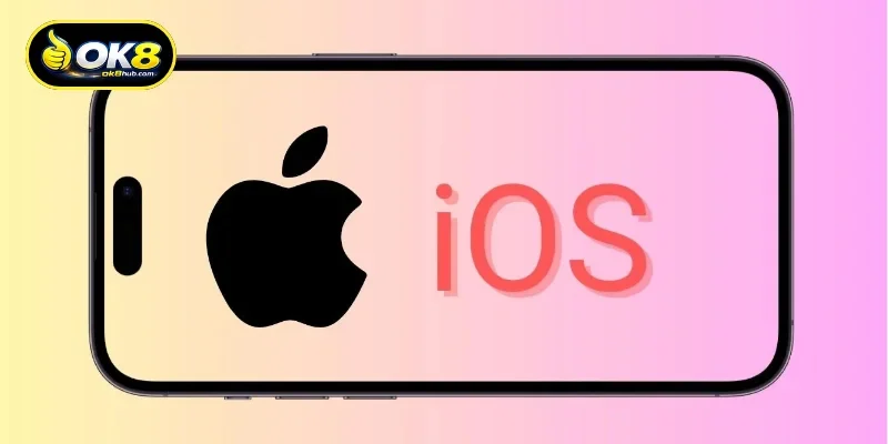 Quick guide to download OK8 app to your phone